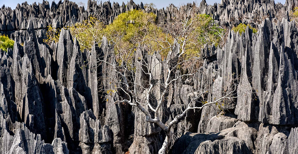 Aventure inoubliable dans l’ouest de Madagascar
