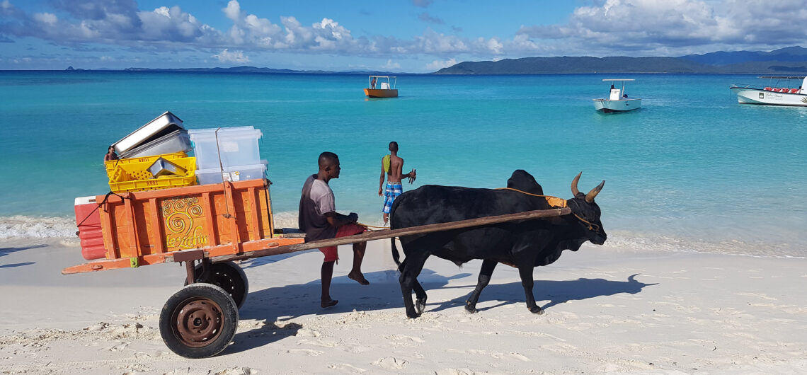 Tourisme Madagascar : l’Asie comme nouvel cible en 2026